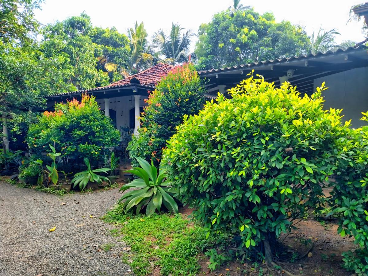 Dickwella Green Villa Exterior foto